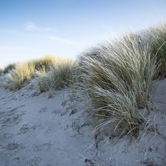 Am winterlichen Strand