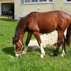 Espoir