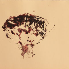 21 x 29 cm 