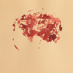 21 x 29 cm 