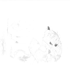 2016, Coco, grafito y mina de color sobre papel, 50x70cm. 