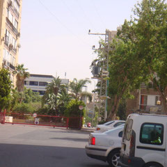 Rue avec parc