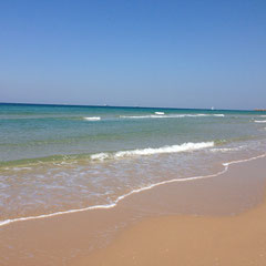 Plage immense