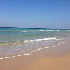Plage immense