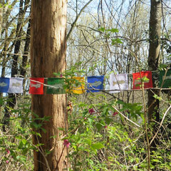 Prayer Flags, Brunette River