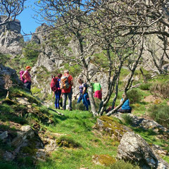 Le Caroux - Crédit photo Michel Ehrhard