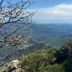 Le Caroux - Crédit photo Michel Ehrhard