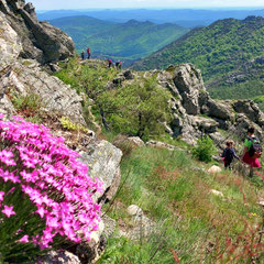 Le Caroux - Crédit photo Michel Ehrhard