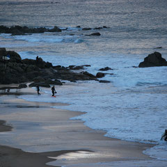 côte sauvage du Cap fréhel