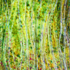 "THROUGH THE RAINFOREST VEIL"  (24x20 on finished 1.5" deep cradle wood panel)  $1800