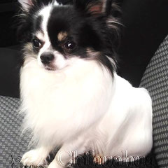 Eddie