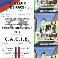 Les cartons récompenses