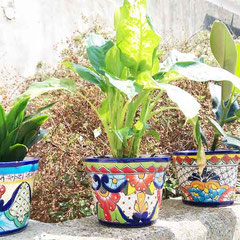 Mexikanische Blumentöpfe aus Keramik
