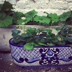 Blumenkasten blau weiss antik aus Keramik