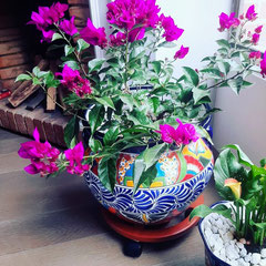 Blumenkübel