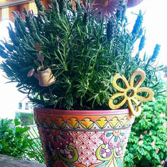 Blumentopf aus Keramik in Pastell
