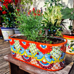Farbenfroher Blumenkasten