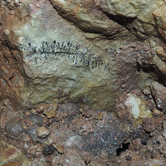 Grotta delle Cantine Superiori: formazione dendritiche di ossido di manganese