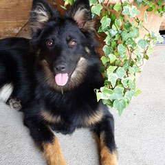 Esta / Jugend und Kind