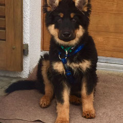 Casto Cash / durch Unfall gestorben