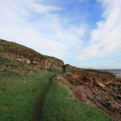Fife Coastal Path between Crail and Anstruther