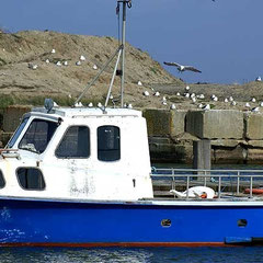 Hafen von Hvide Sande