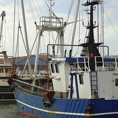 Hafen von Hvide Sande