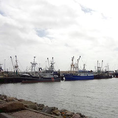 Hafen von Hvide Sande