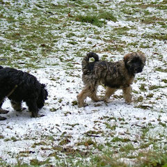 Yeshi und Femi und der erste Schnee