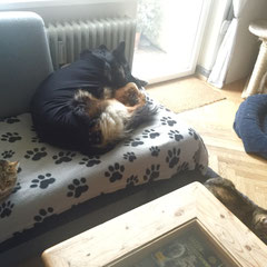 ...oder anders rum!