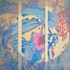 Medinilla Rad. 25x25cm