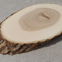 Eschenholz Rindenbrett