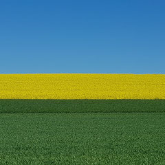 2020:  Farmland in Buchberg (Switzerland)