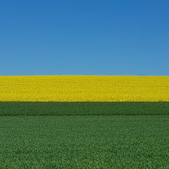 2020:  Farmland in Buchberg (Switzerland)