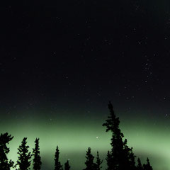 2015:  Northern lights in Yukon (CAN)