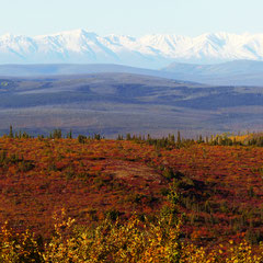 2015:  View from top of the world highway, Alaska (USA)