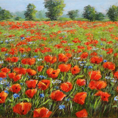 º Klaprozen, a/p, 100x60cm, opdr.
