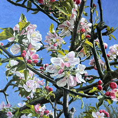 Appelbloesem op Ewsum, o/a/p, 80x110cm
