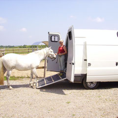 Ford Transit monte arrière