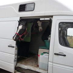 MB Sprinter surélevé par nos soins