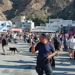 Accueil à Santorin par la police qui canalise la foule pour permettre aux véhicules de descendre du ferry.