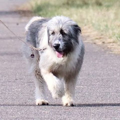 BAHATI