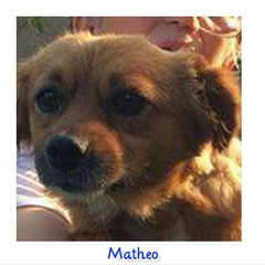 MATHEO