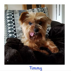 TIMMY