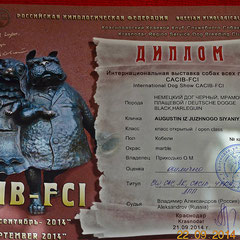 International Dog Show CACIB-FCI "Gold September 2014" (Krasnodar, Russia)