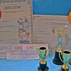 Diplomas, awards, medals our Champions....
