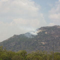 Zwischen Airlie Beach und Townsville haben wir einige kleine Buschbrände gesehen!