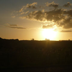 Sonnenuntergang...obwohl ich eigentlich eine riesen Kuhherde fotografieren wollte (die leider in der Helligkeit verschwinden)
