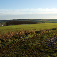 Midwinter views  (Walk 9)