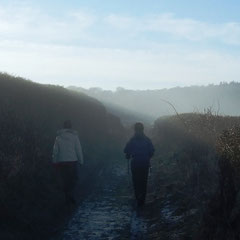 A trail of mist and imagination (Walk 9)